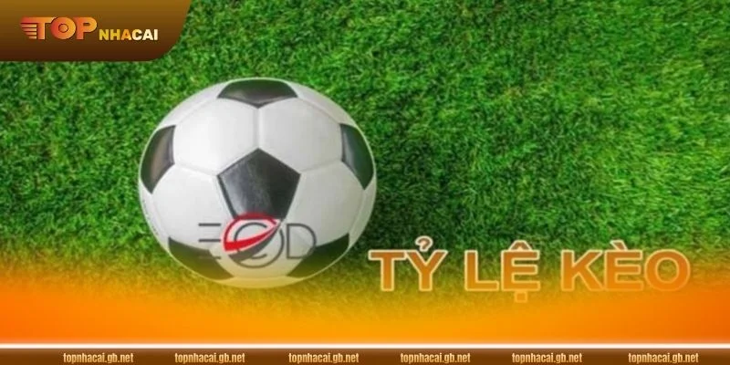 Tỷ Lệ Kèo HitClub Có Gì Hấp Dẫn? Cách Chơi Hiệu Quả 3 Áp dụng kinh nghiệm thực tế sẽ giúp bạn tối ưu lợi nhuận.