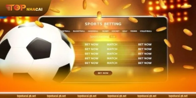 Bí quyết soi tỷ lệ kèo B52 phù hợp với cả tân thủ và người chơi lâu năm.