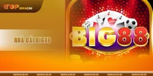 Nhà Cái BIG88: Sân Chơi Đổi Thưởng Uy Tín Được Chứng Nhận