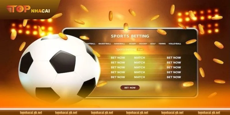 Hướng dẫn xem tỷ lệ kèo DV88 cho tân thủ.