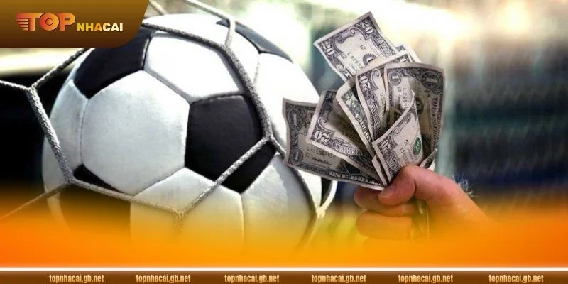 Người chơi chỉ cần nắm rõ nguyên tắc là có thể đưa ra quyết định đặt cược hợp lý.